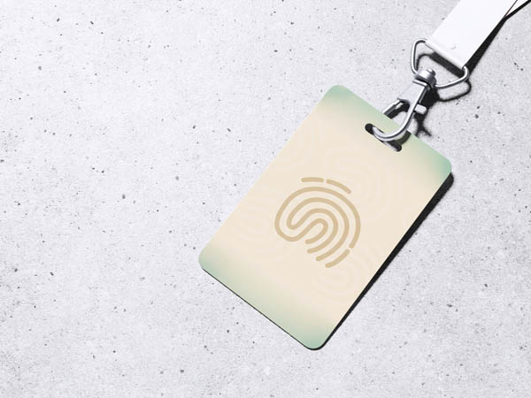 brand-identity